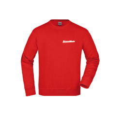Sweatshirt Champion